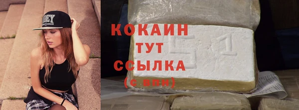 СК Касимов