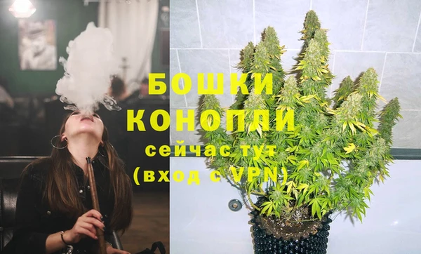 СК Касимов