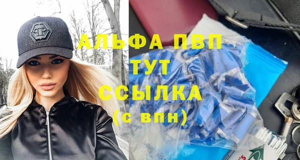 СК Касимов