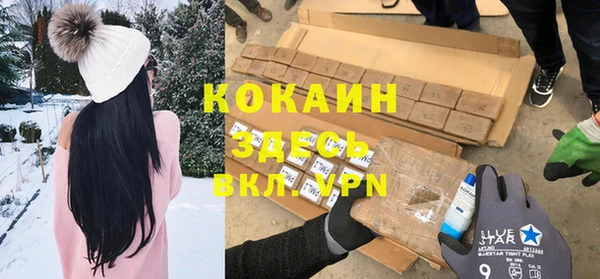 стаф Карпинск