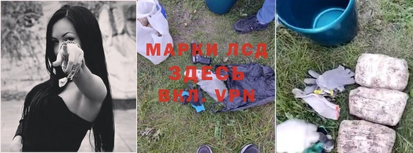 стаф Карпинск