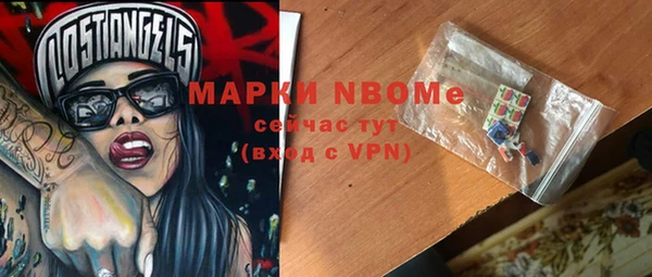 стаф Карпинск