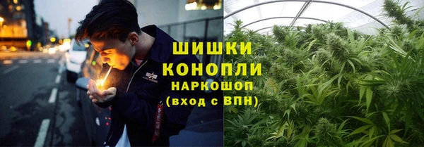 стаф Карпинск