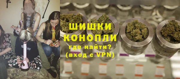 стаф Карпинск