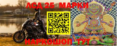 ПСИЛОЦИБИНОВЫЕ ГРИБЫ Краснодар